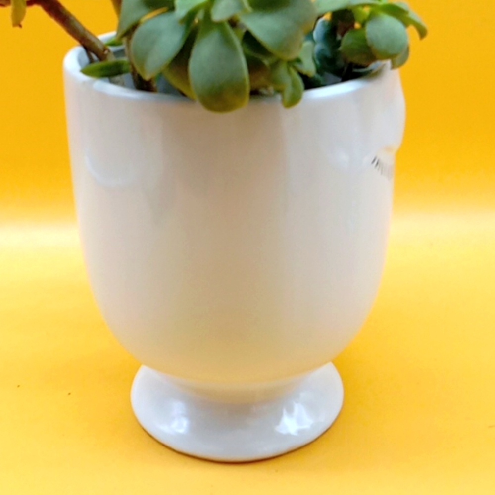 Ceramic Face Planter - Picture 5 of 8